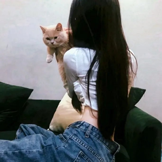 摇尾狗
